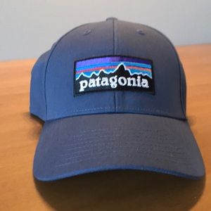 Men’s Patagonia flex fit hat, size sm/medium. NWOT